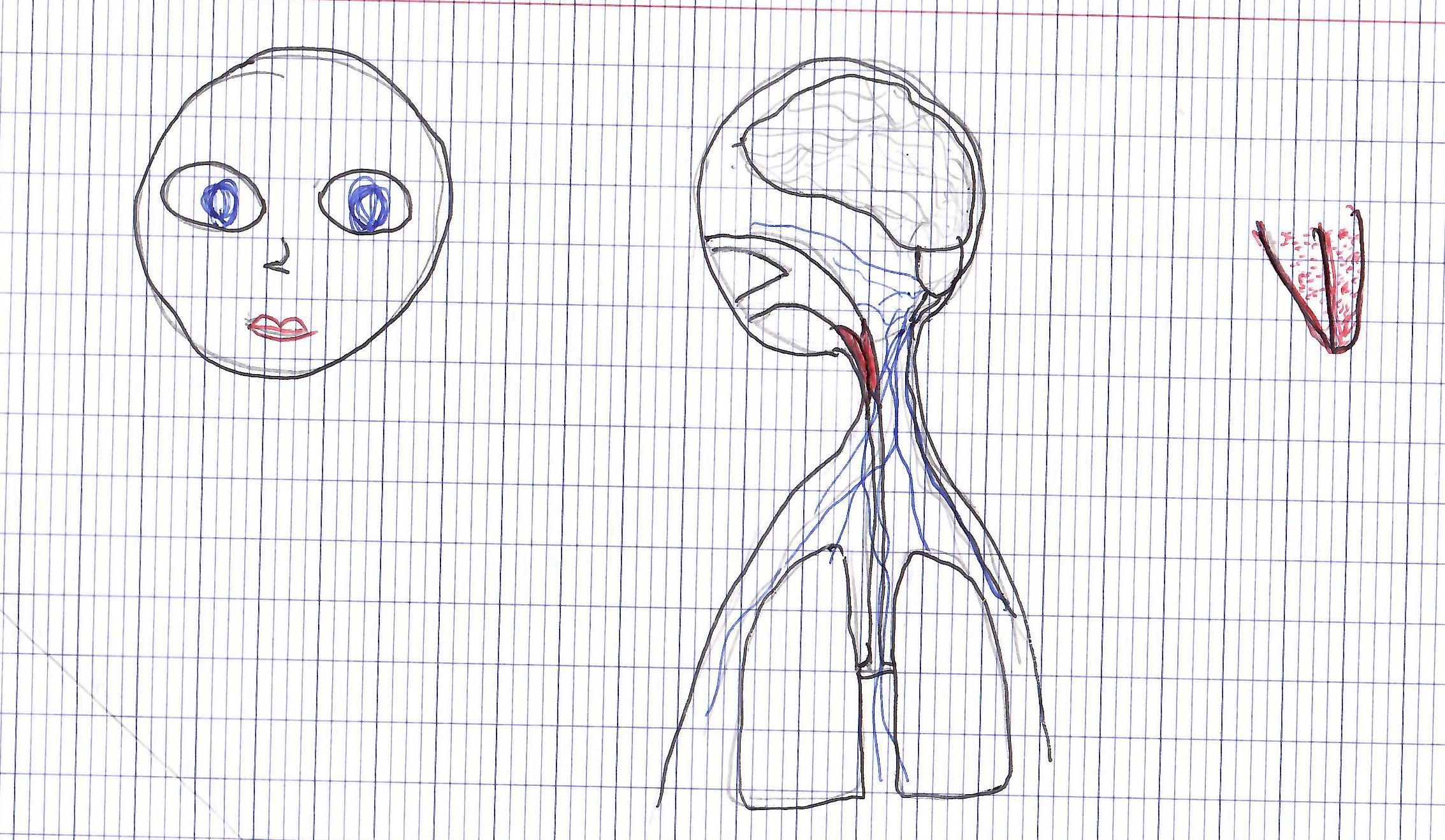 Anatomie par Sonia Piotelat
