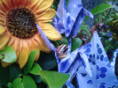 Tournesol balcon