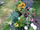 Tombe