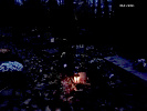 Cimetière de nuit