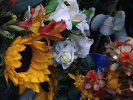 Tournesol balcon