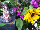 Tombe
