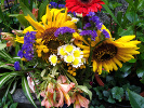 Bouquet