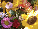 Bouquet