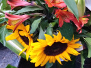 bouquet