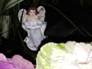 ange