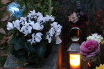 Tombe de nuit