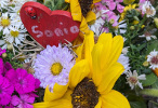 Bouquet